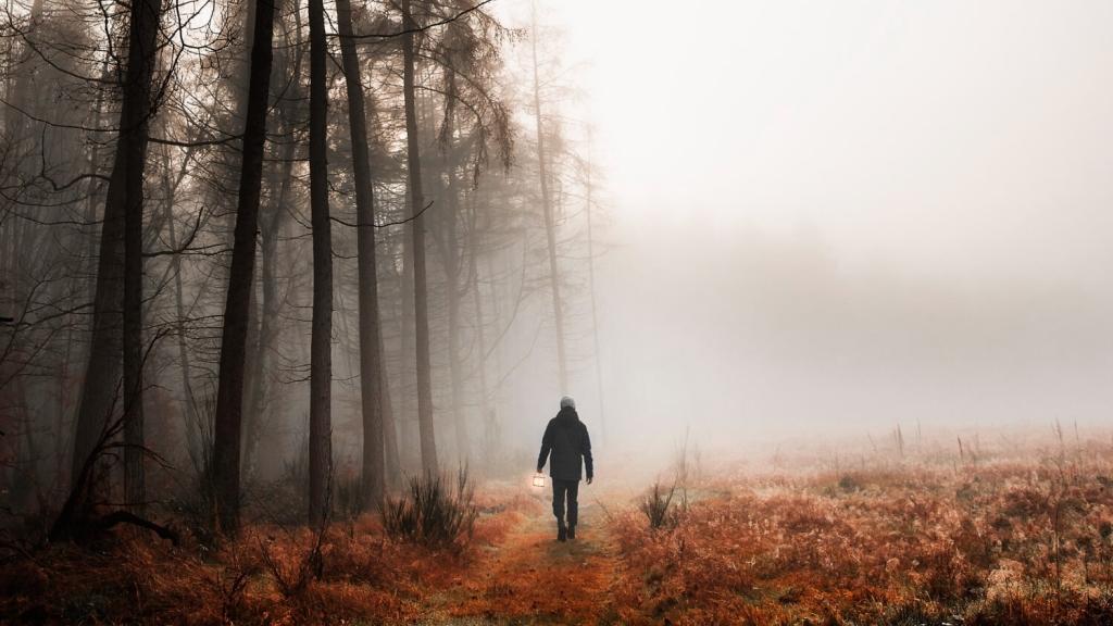 Bigpicture ru man walking in a misty woods mobile phone wallpaper 1 jpg