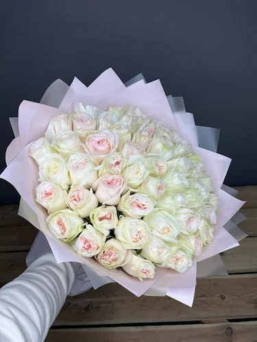 Pionovidnaya roza white o hara vayt okhara 29