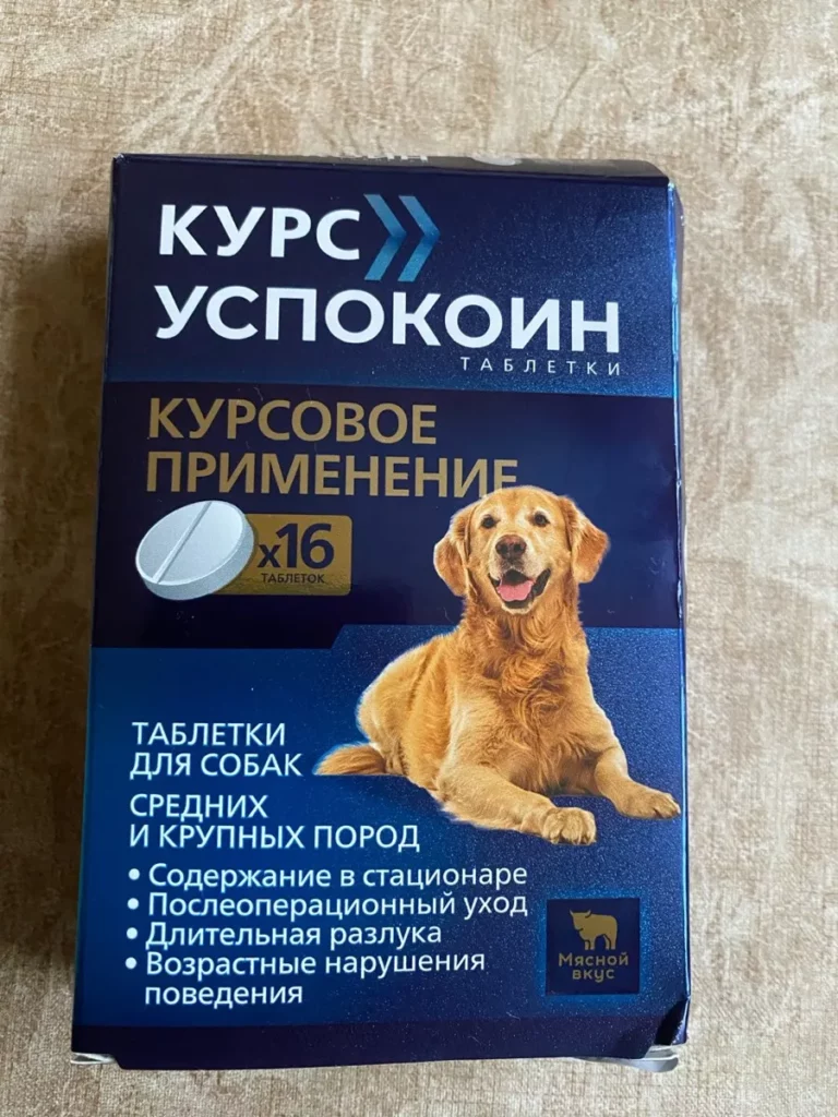 26f49f16 e889 4d7a 858c 66327ea1830a