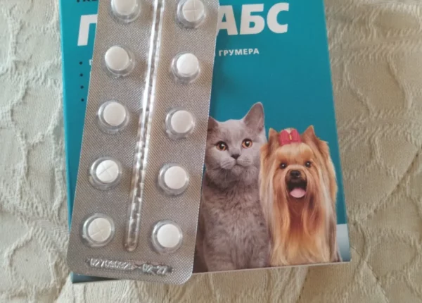 Как выбрать успокоительное для собак