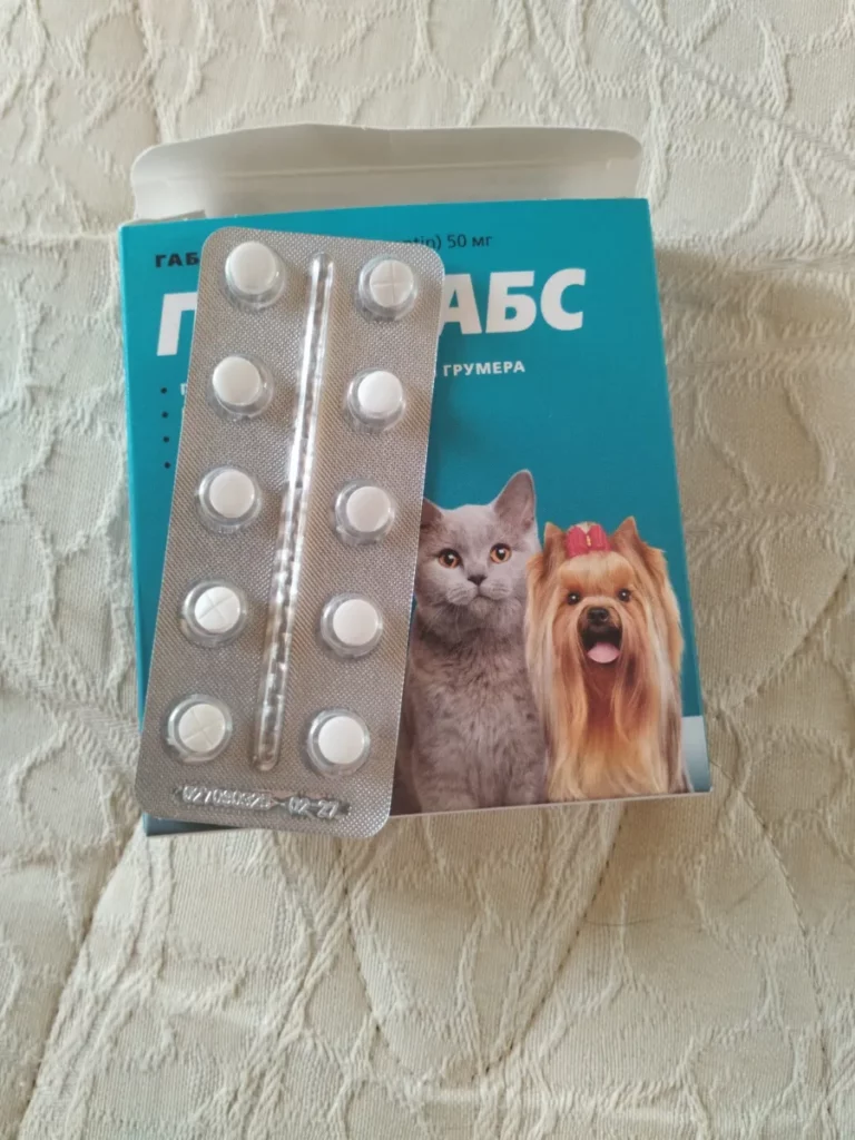 A28eb635 9c03 4077 a9e3 a1dff82139fc