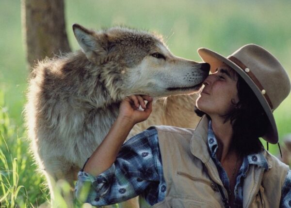 Кому на самом деле «тамбовский волк — товарищ»: тайна известного каждому выражения