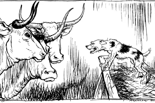 Иллюстрация к басне про собаку на сене