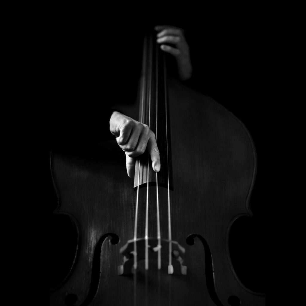Контрабас в лаконичном кадре фотографа Benoit Courti