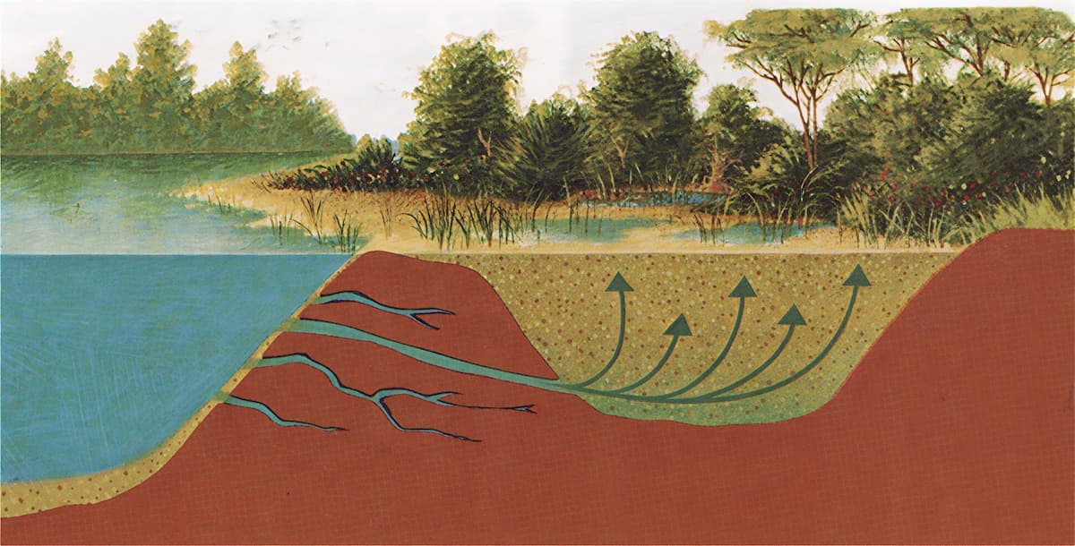 Схематическая иллюстрация образования зыбучих песков на берегу водоема: подземные потоки воды поднимаются вверх сквозь песок