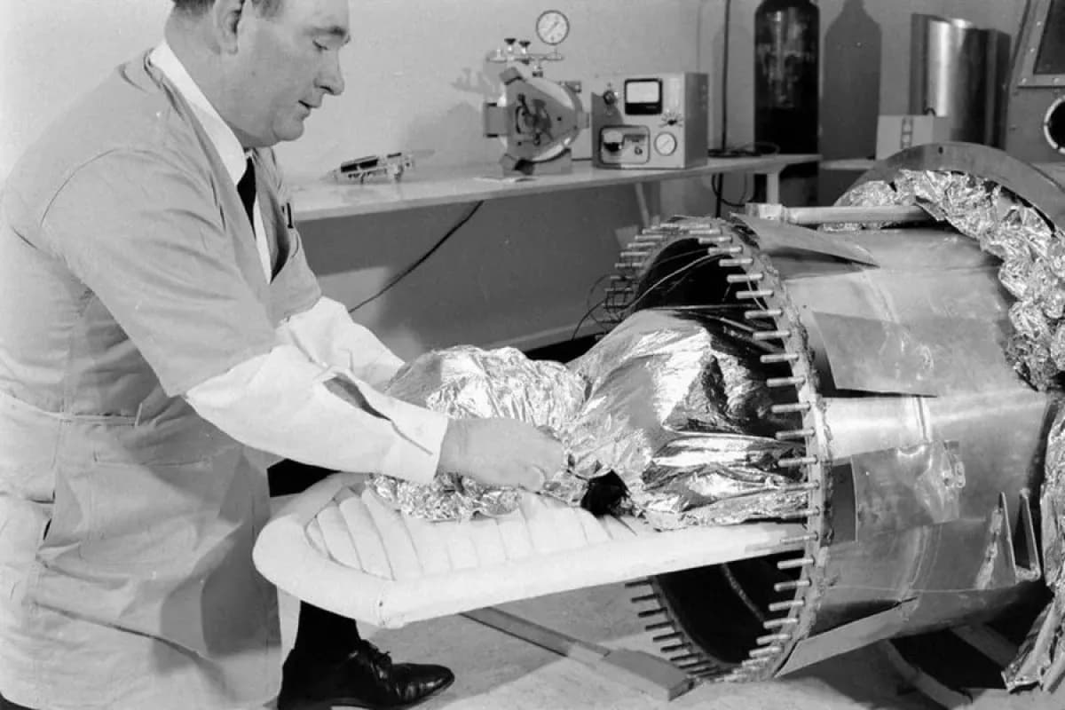 Криогенная капсула с телом в хранилище Alcor Life Extension Foundation