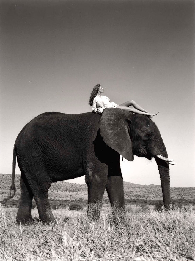 Серия Дикие вещи от фотографа Уэйна Мэйзера