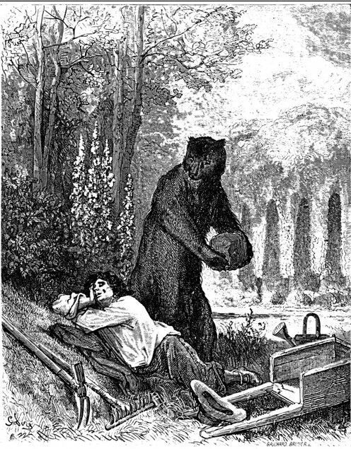Иллюстрация Густава Доре к басне Садовник и медведь