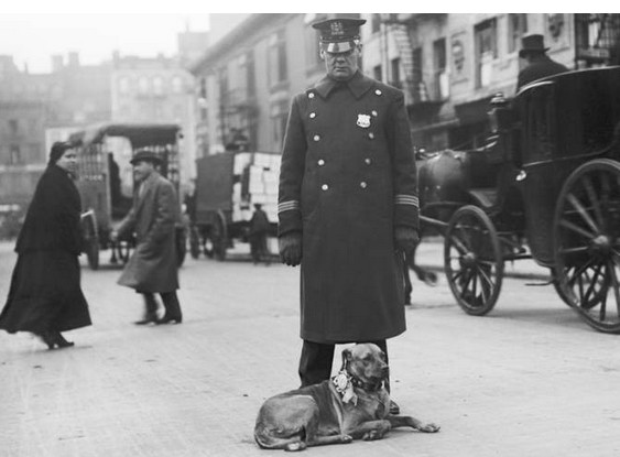 Bigpicture ru скриншот 26.09.25 08.49.56