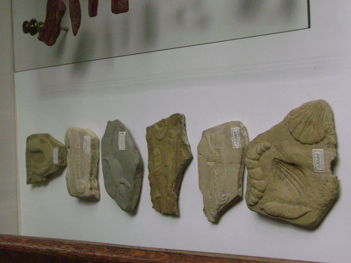 Окаменелости Берингера лживые камни из Вюрцбурга 1725 год