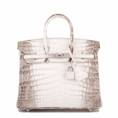 Bigpicture ru hermes 5