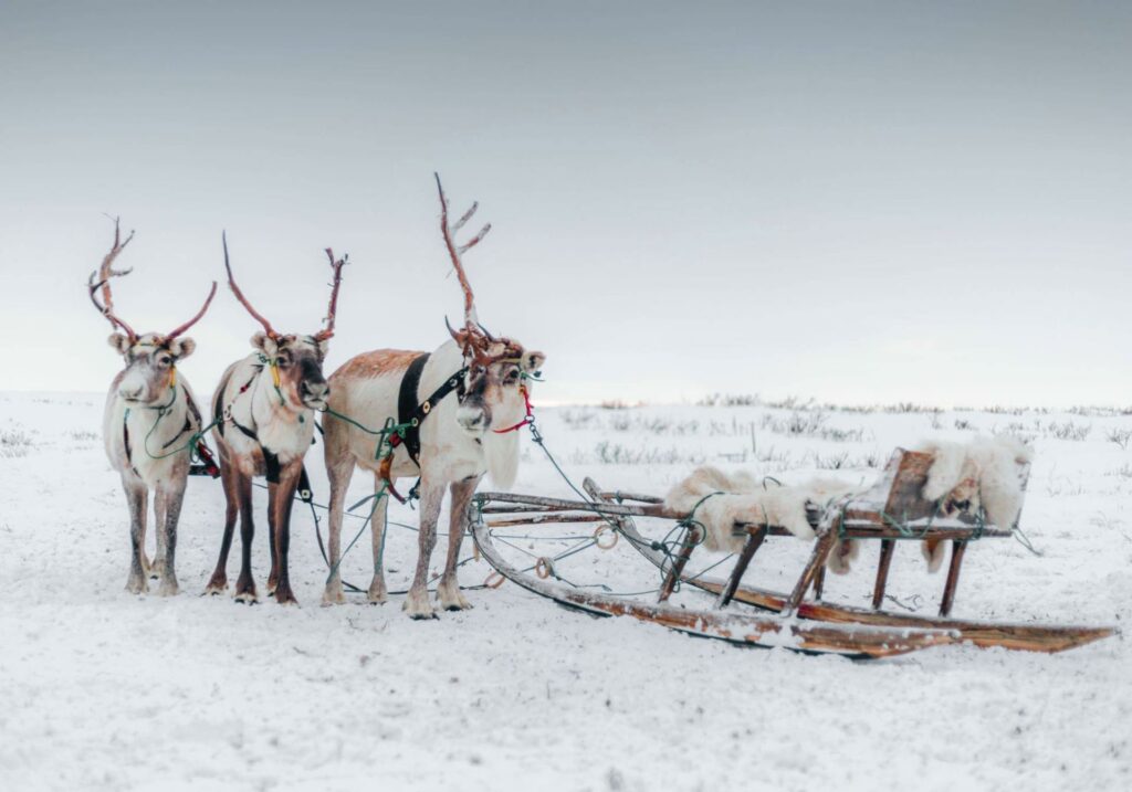 Bigpicture ru img 6540dbf1bd26e 1920