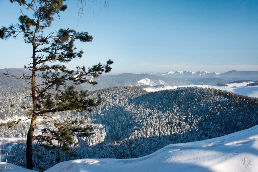 Bigpicture ru img 655de4b24a011 1920