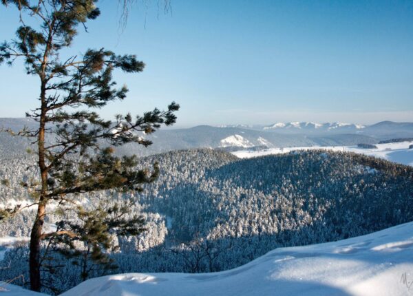 Туры по России: от Уикенда до Транссиба