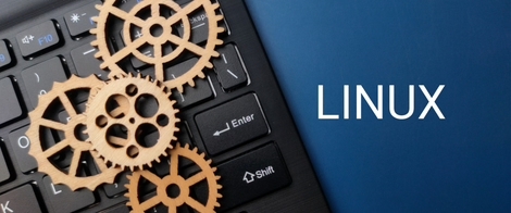Bigpicture ru linux 2025