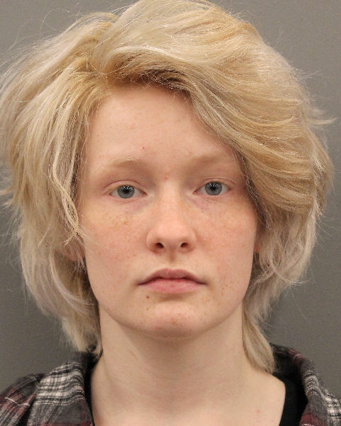 Мэри Энн Оливер-Сноу после ареста фото полиции обвиняемая