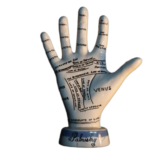 Remove bg.ai 1732921443658 1 r8rrsdxfprzc066h1xoegs4g83cljeifex2futes58 1.png