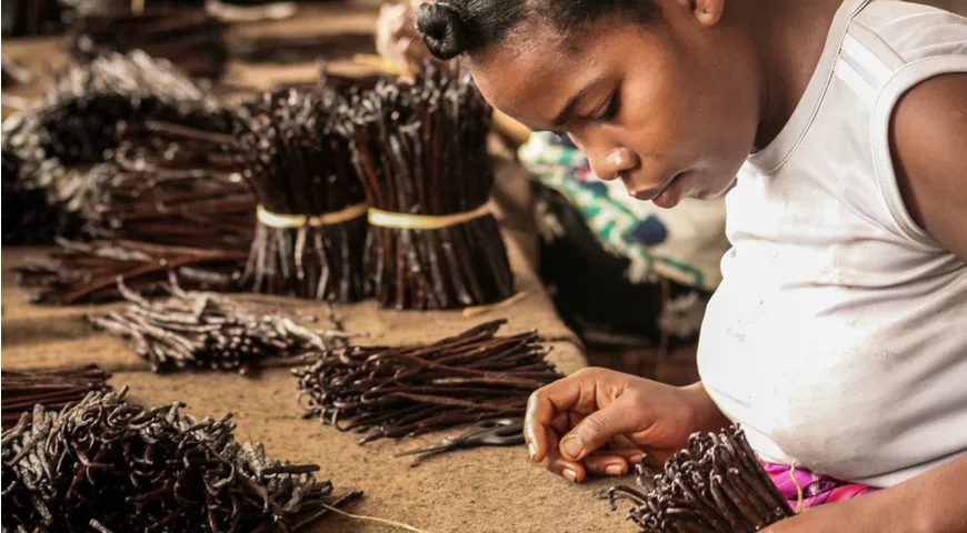 Bc750c69 b48b 4540 adb8 5e0f39cf1ac7