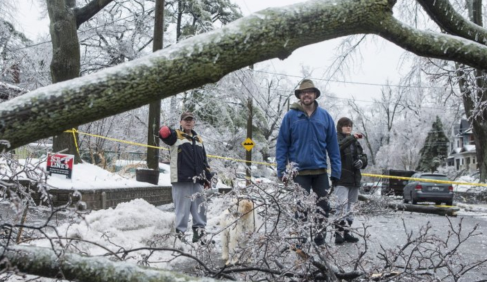 Поваленные деревья на улицах Монреаля после ледяного шторма