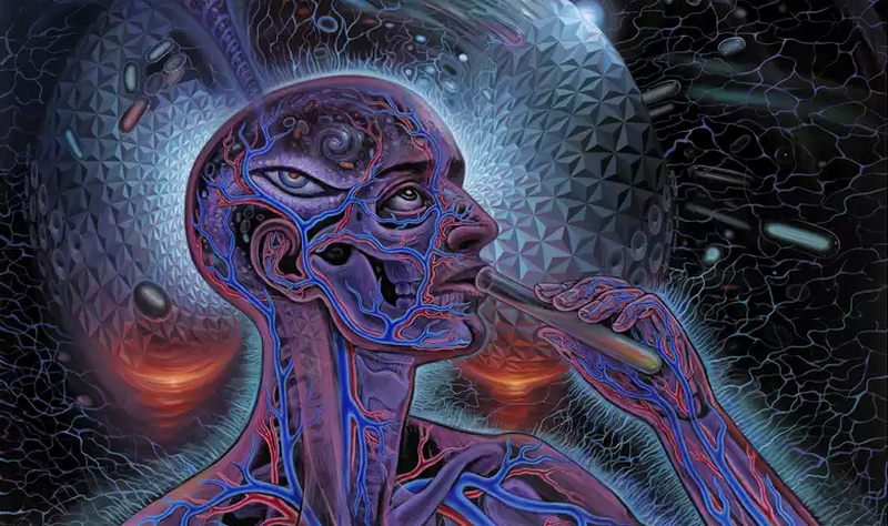Алекс Грей: анатомия души в виженари-арт