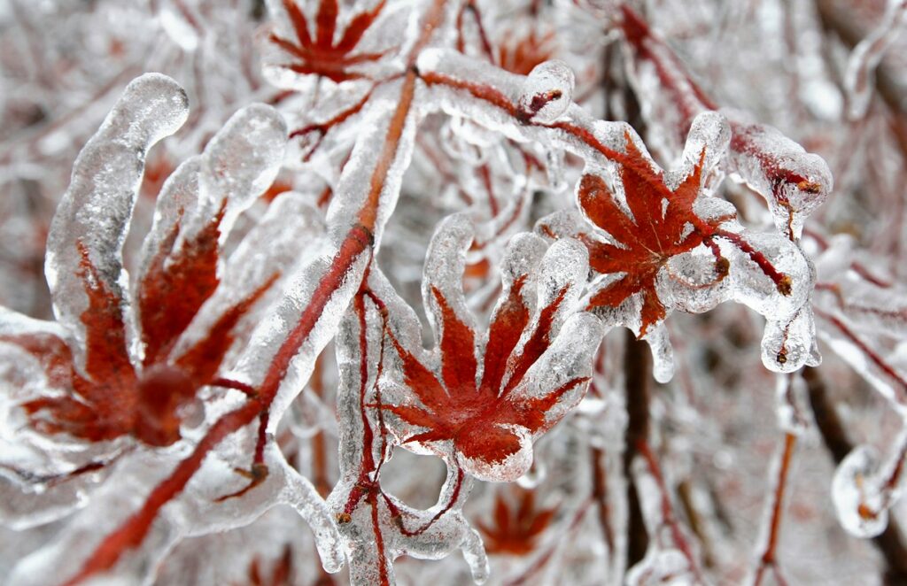 Схематичное изображение формирования ледяного дождя