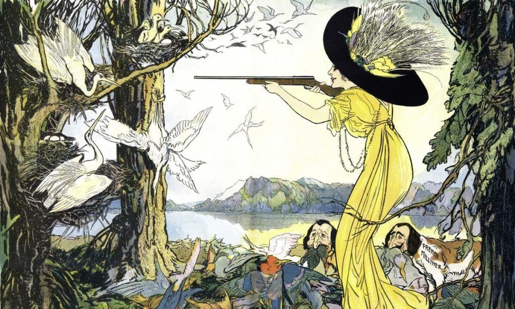 Сатирическая карикатура 1911 года: модница в шляпе с перьями убивает цаплю, вокруг летят перья и кровь