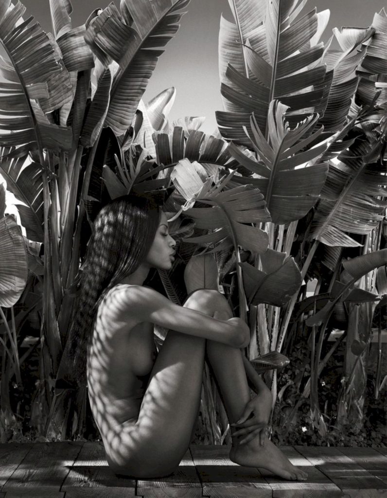 Обнажённая модель в классической позе от Frank De Mulder