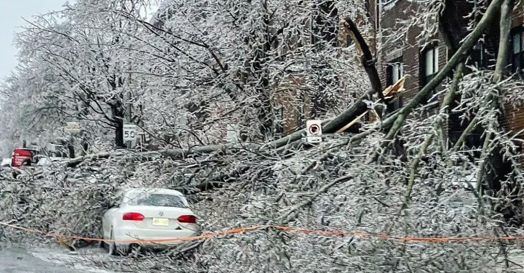 Расчистка улиц Монреаля от льда и поваленных деревьев
