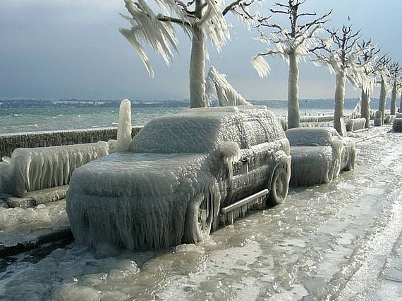 Фотография дерева, покрытого толстой коркой льда после ледяного дождя