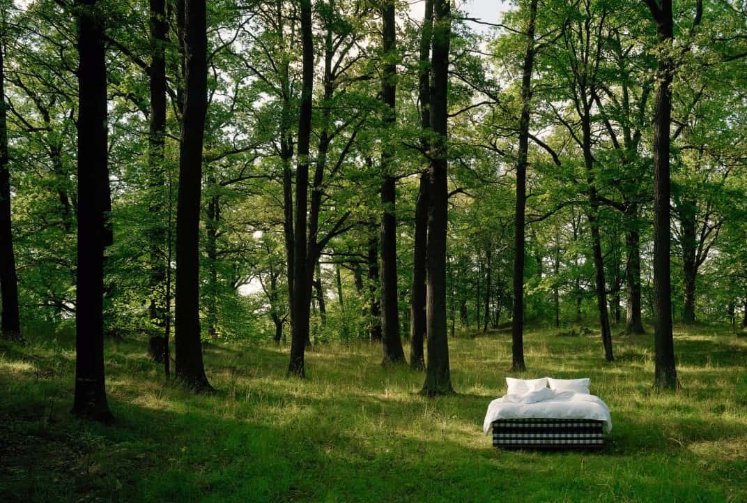 кровать стоящая посреди леса