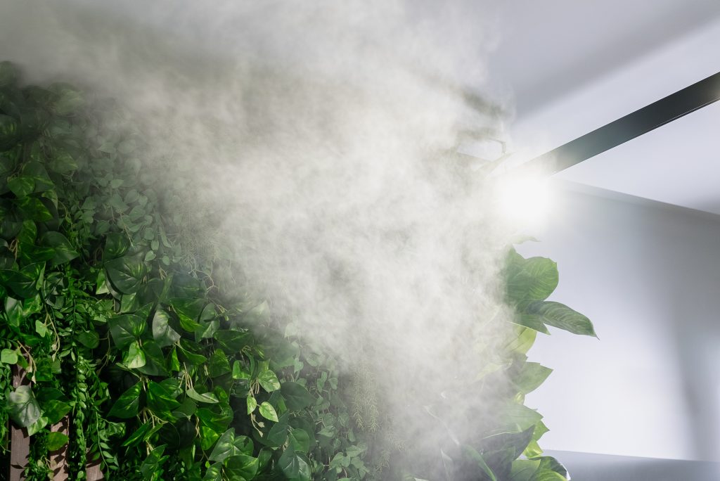 Bigpicture ru dsc08127 1024x684 1