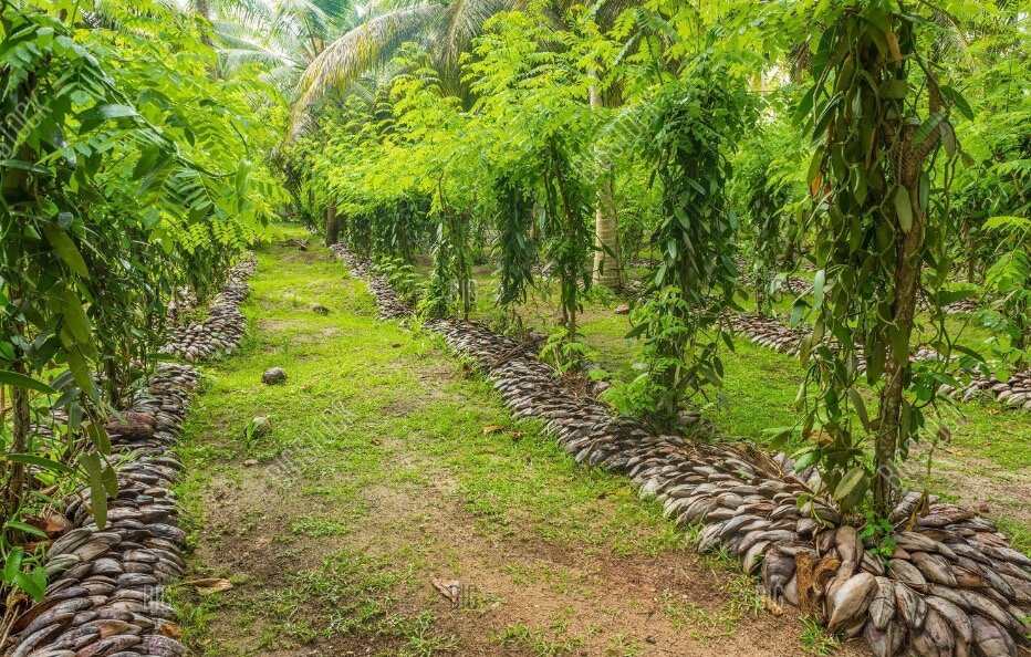 Bigpicture ru fotoram.io (1)