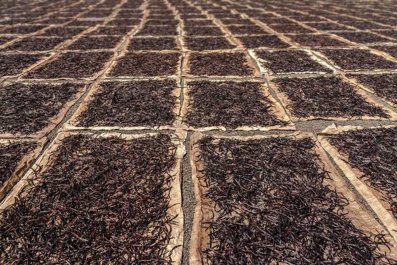 Bigpicture ru fotoram.io (2)