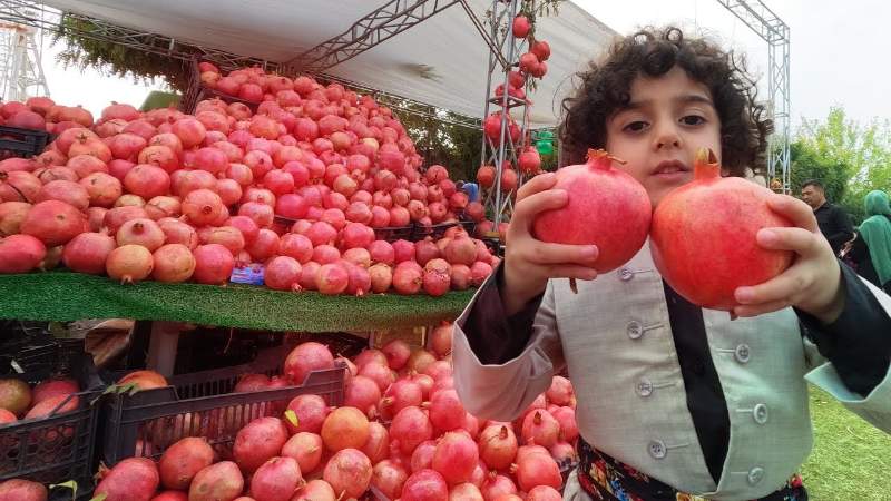 Bigpicture ru fotoram.io (5)