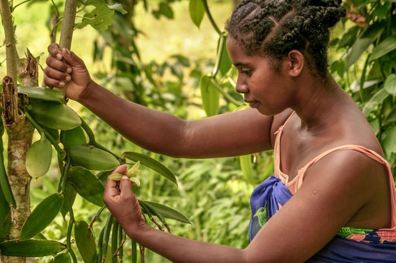 Bigpicture ru fotoram.io