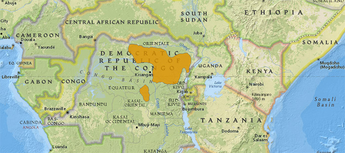 Ареал обитания окапи Okapia johnstoni в Демократической Республике Конго