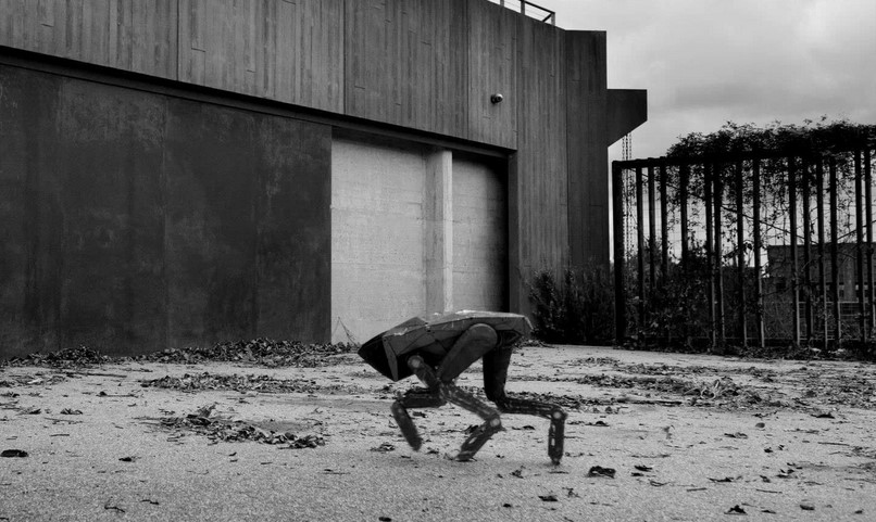 Bigpicture ru снимок экрана 2025 11 13 181528