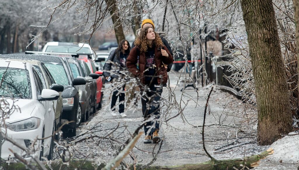 Мемориальная табличка в память о ледяном шторме 1998 года в Канаде