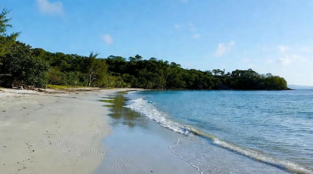 Bigpicture ru снимок экрана 2025 11 24 230216