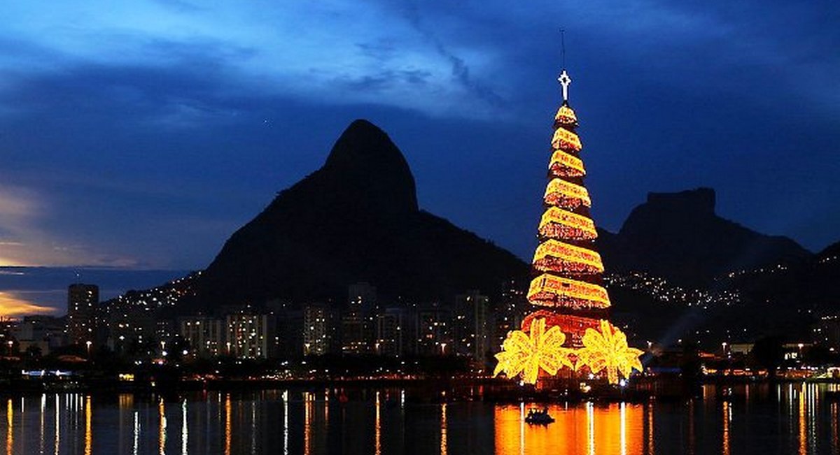 Коллаж из различных новогодних деревьев мира вместо традиционной елки