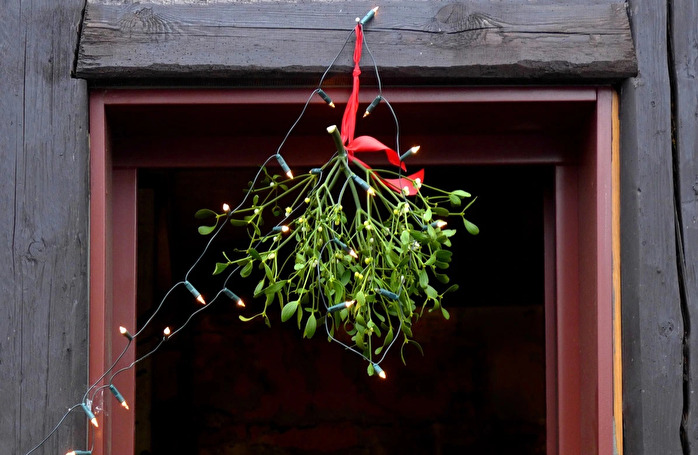 Иллюстрация с ветками омелы над дверью