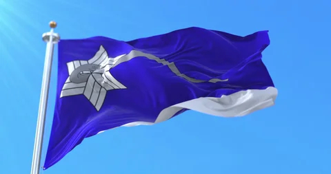 Флаг секты Ветвь Давидова