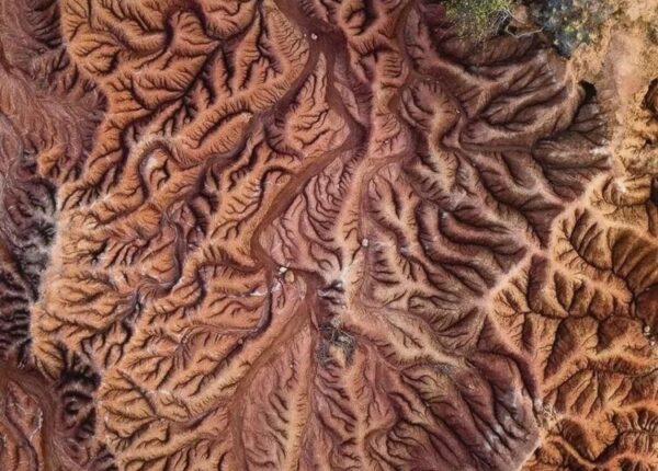 Идеальная симметрия и красота: 22 снимка, от которых мурашки по коже