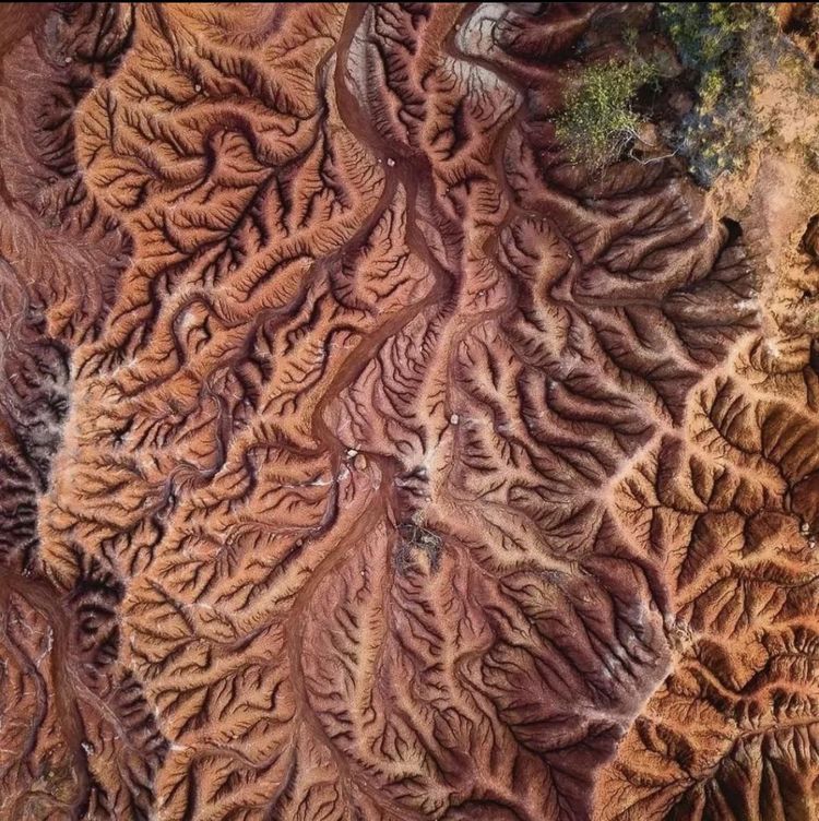 Вид с воздуха на дендритные узоры необычайной красоты в Долине печали, Колумбия