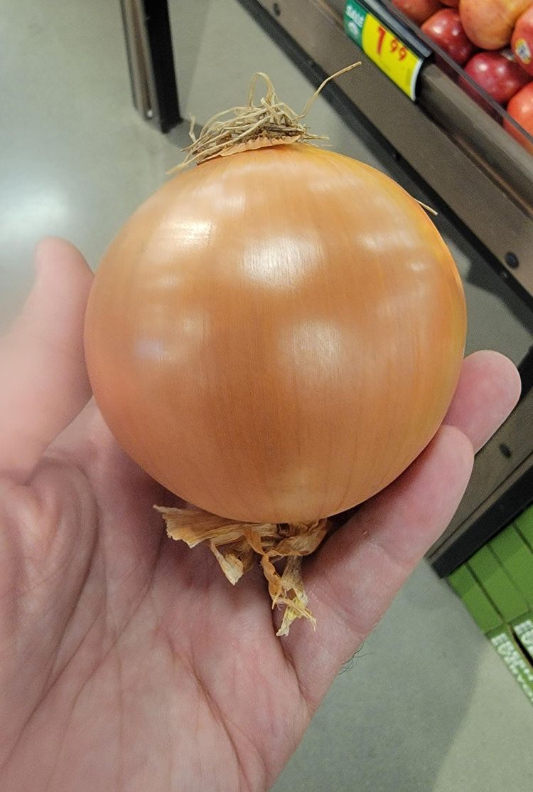 Фотография идеально красивой луковицы, вызывающей восхищение