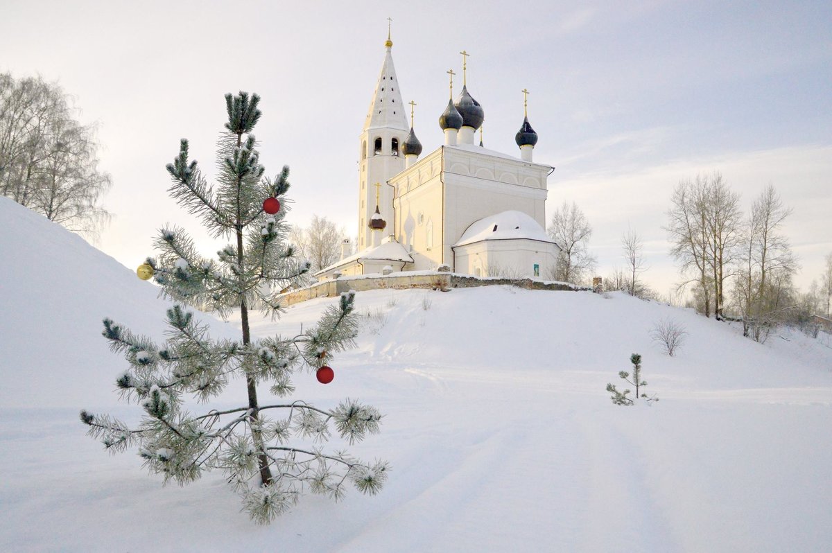 Bigpicture ru 4781654