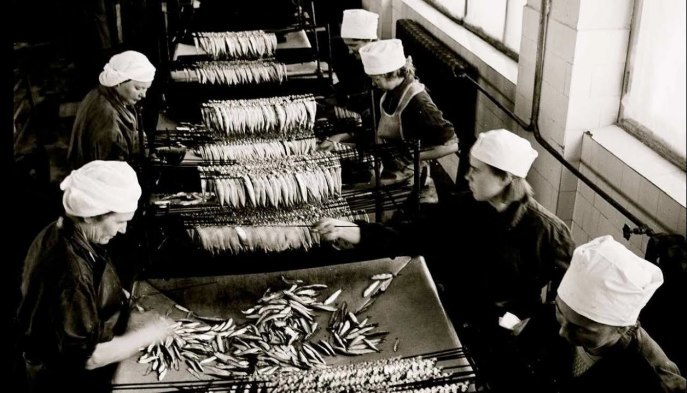 Советские консервы рыба склад продукция СССР