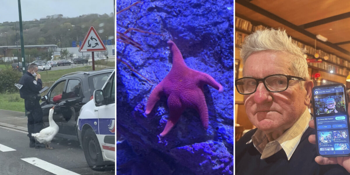 Bigpicture ru что у вас тут происходит