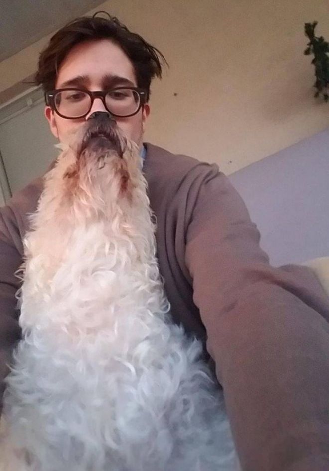 Визуальный обман: отражение в стеклянной двери создает впечатление парящей в воздухе лестницы