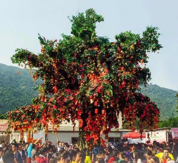 Украшенное дерево манго на праздник Угади в Индии